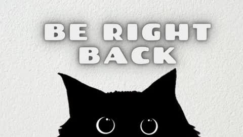       Independent model online show from January 14, 2025, 7:48 am