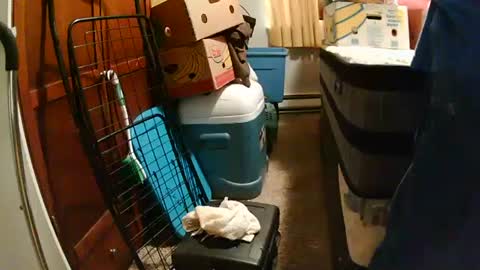 Snapshot of sweetcumfullofaglass chatting on October 12, 2025, 8:19 pm sweetcumfullofaglass online show from October 12, 2025, 8:19 pm