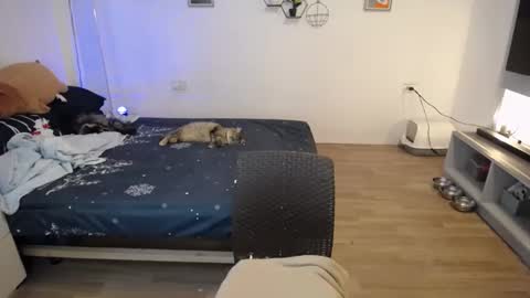 angel 3 online show from January 21, 2025, 4:48 pm