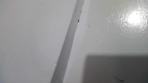 Stacy online show from April 13, 2026, 3:06 pm