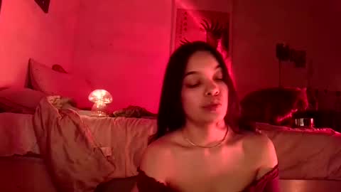 Snapshot of sweetieslikebutter chatting on December 17, 2024, 4:56 am Blu Sweets online show from December 17, 2024, 4:56 am