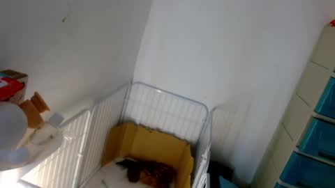 Snapshot of sweetlilly_18 chatting on January 7, 2025, 5:20 pm Lilly online show from January 7, 2025, 5:20 pm