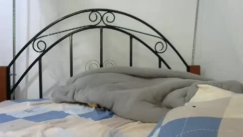 sweetvalariy online show from January 24, 2025, 11:59 am