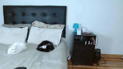 Snapshot of sweetyiris chatting on December 14, 2025, 5:02 am iris online show from December 14, 2025, 5:02 am