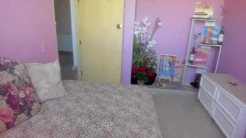 swettcabol online show from January 7, 2025, 6:56 pm