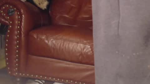 The DickGod online show from March 9, 2025, 4:05 am