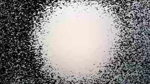 Snapshot of syd666 chatting on March 28, 2026, 9:25 pm subfordomme online show from March 28, 2026, 9:25 pm