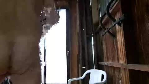 syevecrl online show from October 27, 2025, 12:47 am