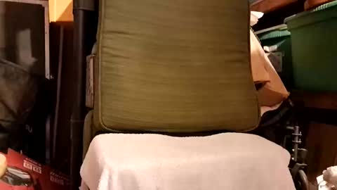 syevecrl online show from February 19, 2026, 5:09 pm