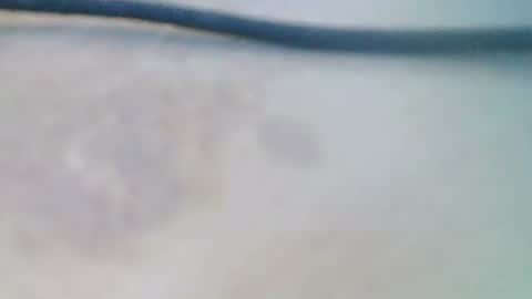 syrius57920 online show from December 5, 2024, 8:22 am