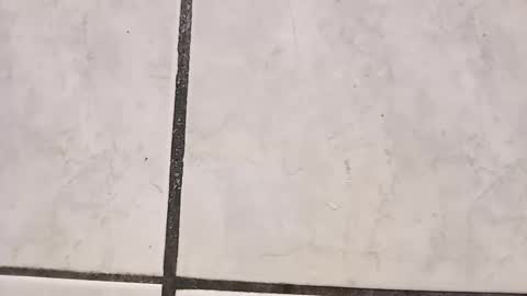 tall6feet7inch online show from September 29, 2025, 8:41 am