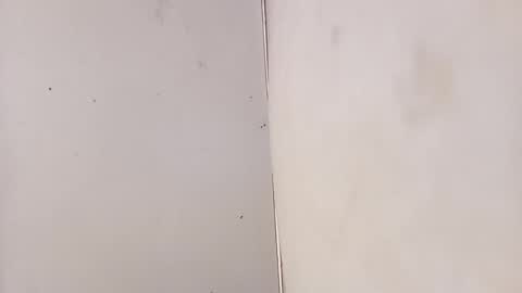 tall6feet7inch online show from February 3, 2026, 7:13 am