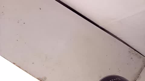 tall6feet7inch online show from February 22, 2026, 2:24 am