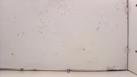 tall6feet7inch online show from February 27, 2026, 5:24 pm