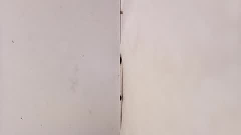 tall6feet7inch online show from March 15, 2026, 9:15 am