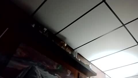 The Man of Steel online show from October 27, 2025, 2:48 am