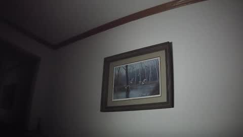 tallnfitstud online show from November 21, 2025, 11:09 am