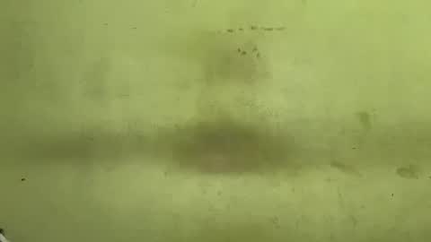 Tanya online show from November 23, 2025, 4:45 am