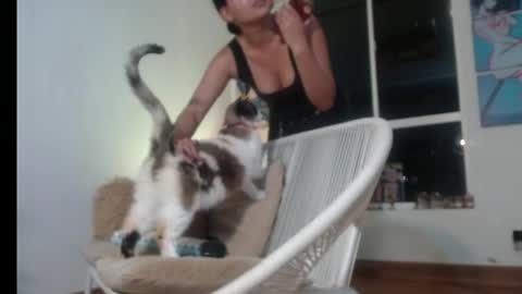 Tamara online show from April 19, 2026, 11:40 pm