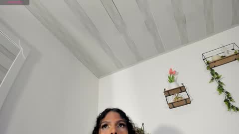  T A M A R A  online show from November 29, 2025, 3:09 am