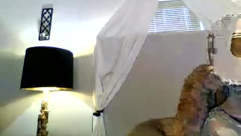 Snapshot of tammygold chatting on June 23, 2026, 7:23 pm Tammygold online show from June 23, 2026, 7:23 pm