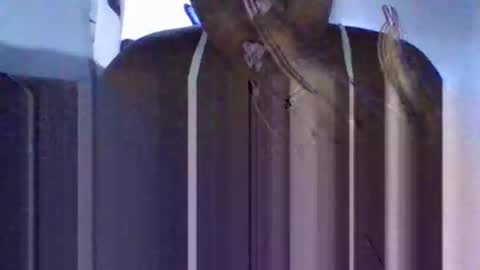 Tanaya1 online show from October 10, 2025, 5:28 am