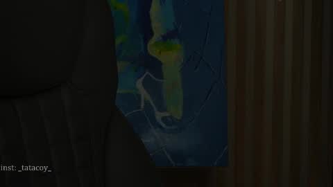 Snapshot of tatacoy chatting on February 28, 2025, 6:32 am TataCoy online show from February 28, 2025, 6:32 am