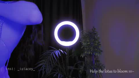 Snapshot of tatacoy chatting on October 30, 2025, 2:07 pm TataCoy online show from October 30, 2025, 2:07 pm