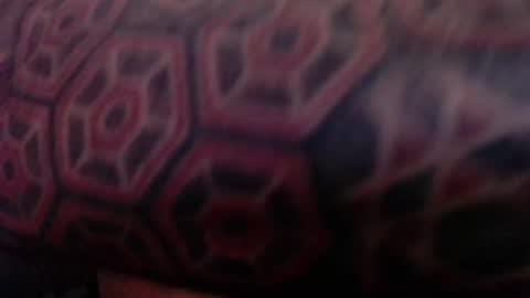 tatted420stoner online show from October 5, 2025, 3:27 am