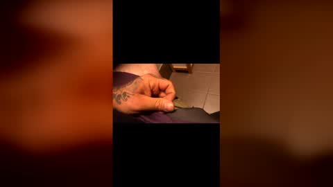 tattedtradie online show from April 24, 2026, 9:01 am