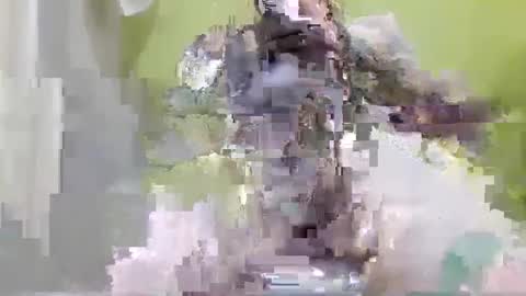 tattoo3333 online show from September 14, 2025, 2:38 pm