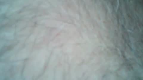 tattzsexy online show from December 21, 2025, 10:28 pm