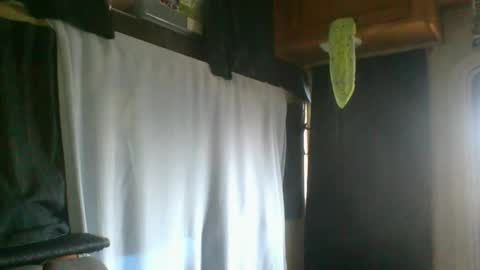 taylafox online show from February 7, 2025, 9:26 pm