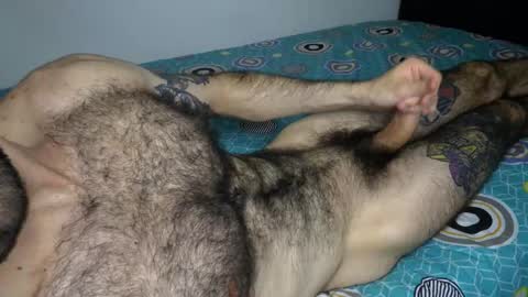 Taylor online show from February 3, 2026, 6:40 am