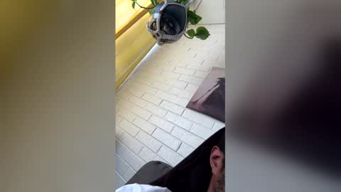 tazhardaway3435 online show from February 1, 2026, 8:40 pm