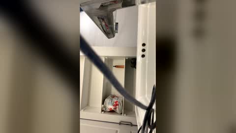 tazhardaway3435 online show from February 5, 2026, 7:35 am