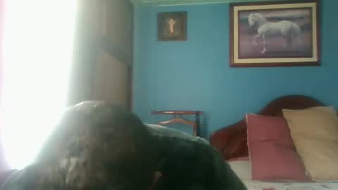 Fabio Canavaro online show from January 3, 2025, 4:59 pm