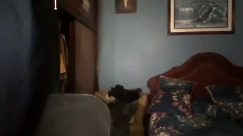 Snapshot of tender_eldelatienda chatting on July 22, 2026, 12:35 am Fabio Canavaro online show from July 22, 2026, 12:35 am
