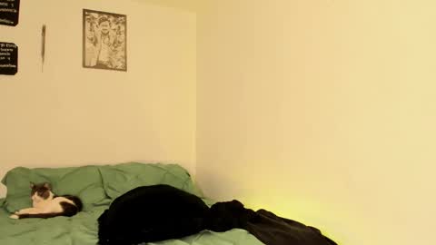 Teo online show from September 13, 2025, 2:50 pm