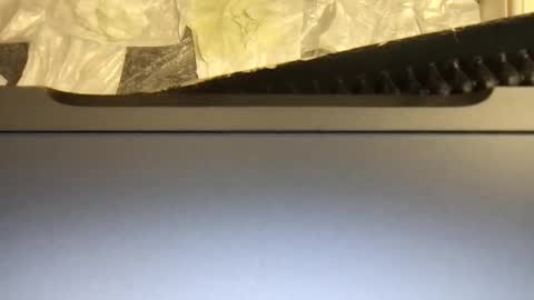 Terence online show from November 9, 2025, 4:55 am