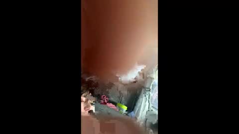 teslajustdoit online show from March 3, 2026, 9:10 pm