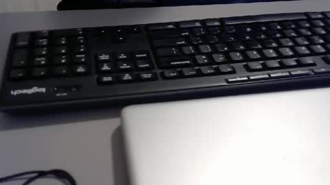 Test the Chat online show from December 21, 2024, 1:21 pm