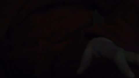 tetuo2 online show from November 17, 2025, 5:13 am