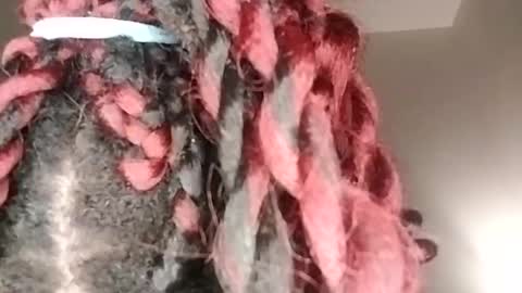 sexi lexi online show from January 17, 2025, 5:32 am