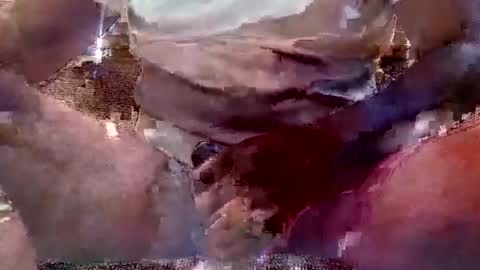 That Guy J online show from February 11, 2025, 1:51 pm