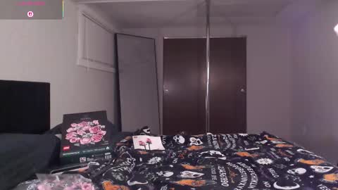 Thatwitch710 online show from February 20, 2026, 6:26 am