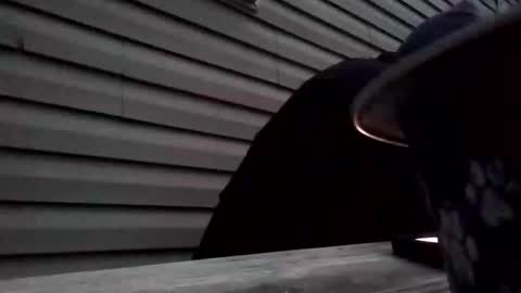 the_invincible_1 online show from November 2, 2025, 11:45 am