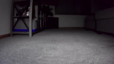 thegreat6268469 online show from December 24, 2024, 10:44 am