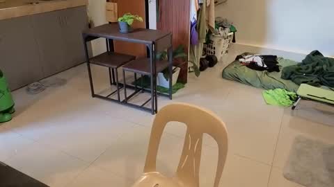 Green online show from April 1, 2026, 6:58 am