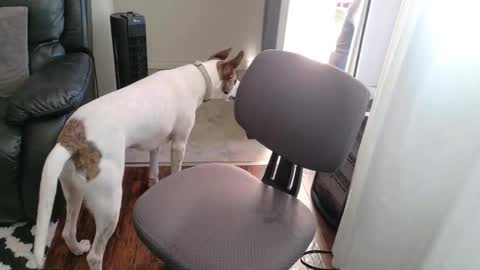 thekodyy online show from November 15, 2025, 12:56 pm